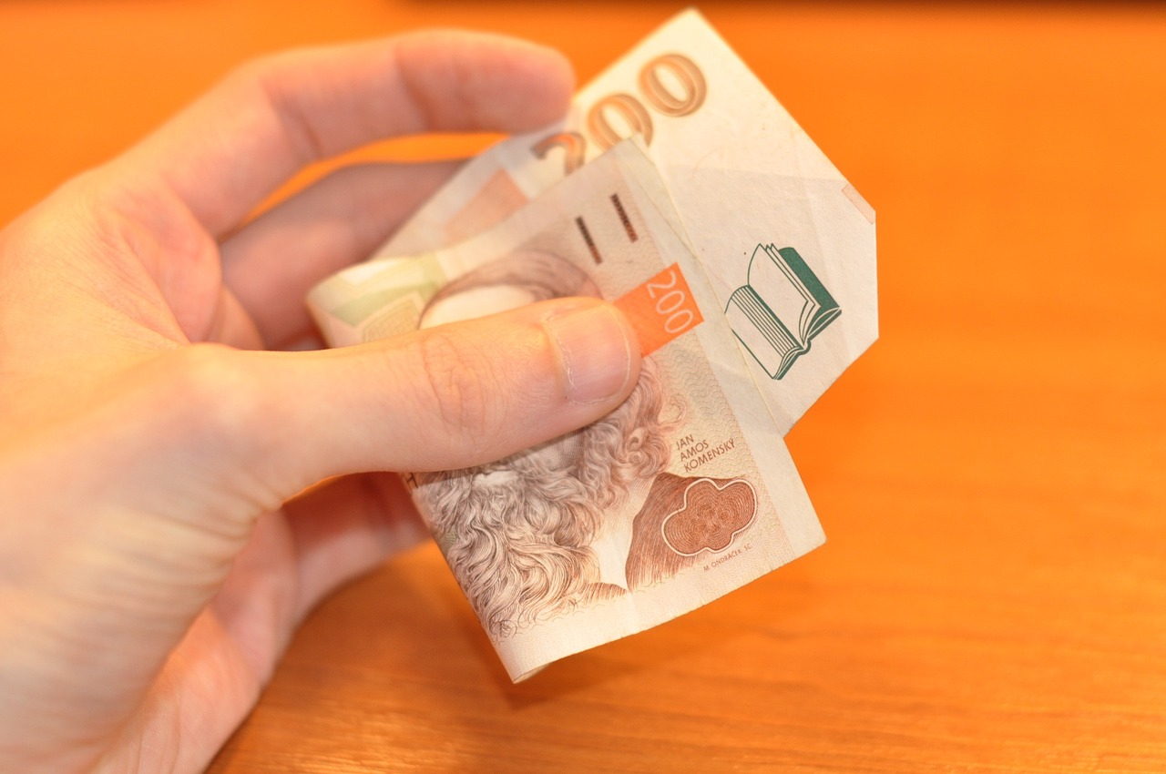 Přeplatky za školní družinu
