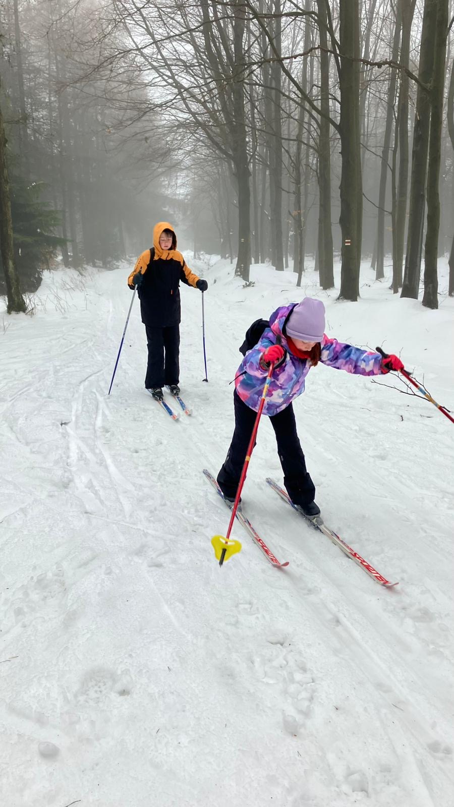 Běžkování na Sněžníku - 14.1. 2026